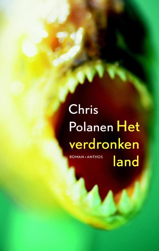 Omslag van Het verdronken land