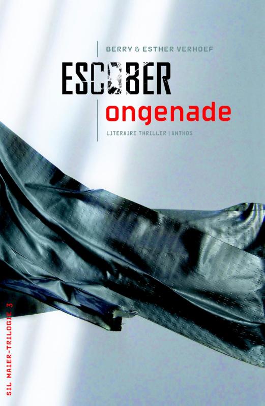 Omslag van Ongenade