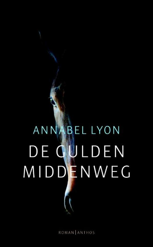 Omslag van De gulden middenweg