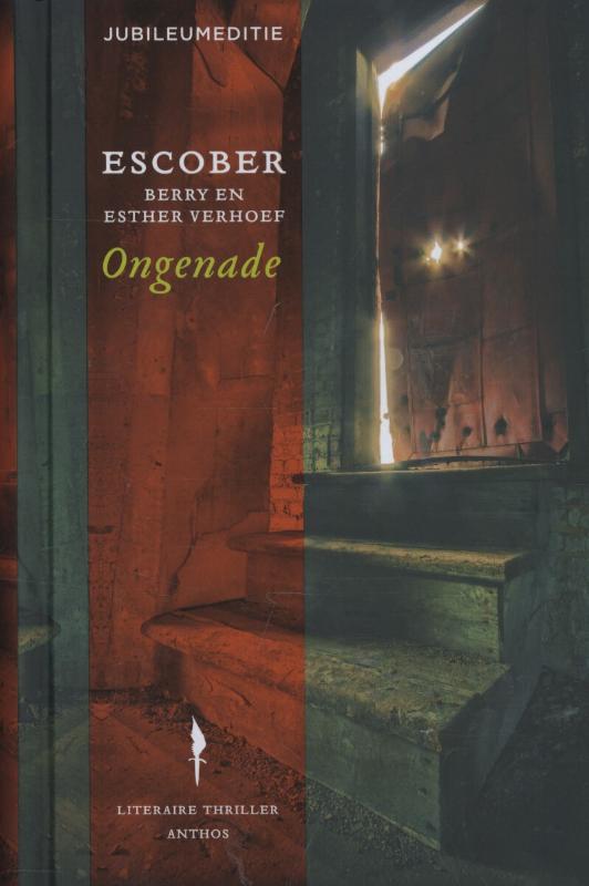 Omslag van Ongenade