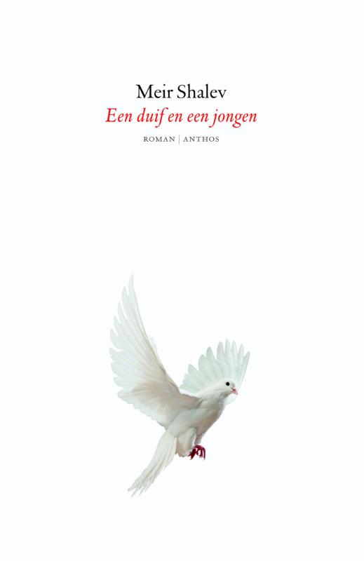 Omslag van Een duif en een jongen