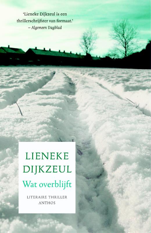 Omslag van Wat overblijft