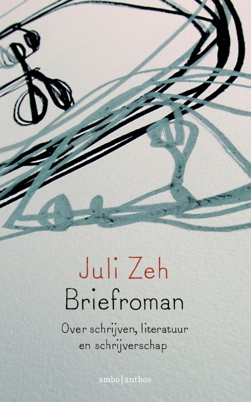 Omslag van Briefroman