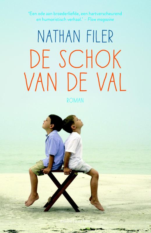 Omslag van De schok van de val