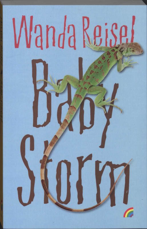 Omslag van Baby Storm
