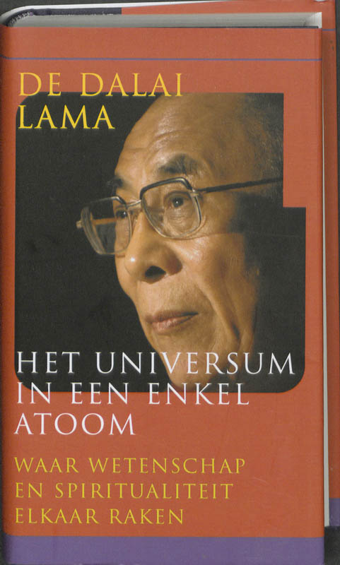 Omslag van Het universum in een enkel atoom