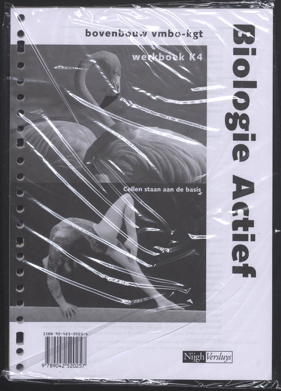 Omslag van Werkboek K4