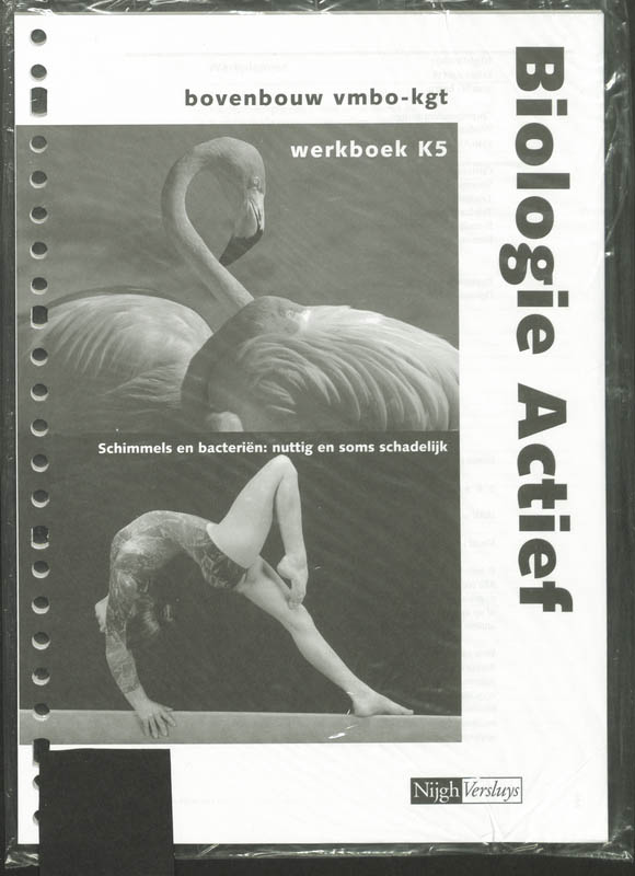 Omslag van Werkboek K5