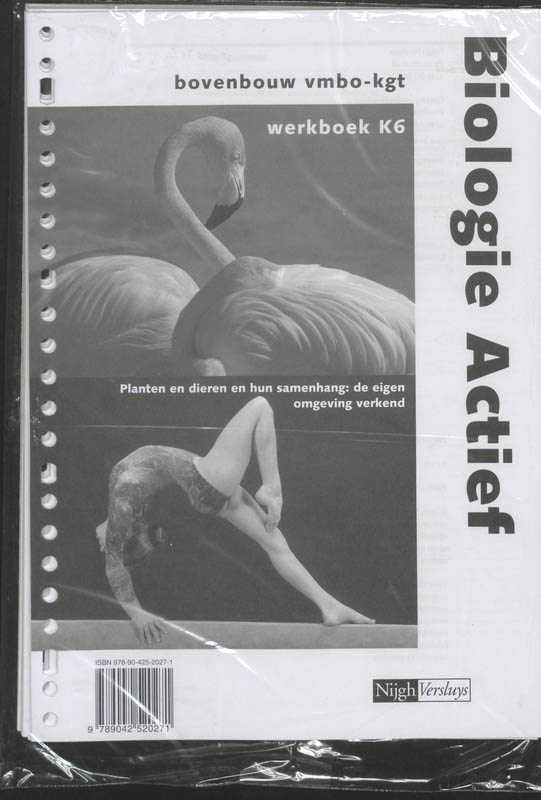 Omslag van Werkboek K6