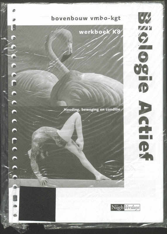 Omslag van Werkboek K8