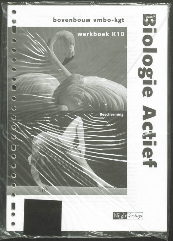 Omslag van Werkboek K10