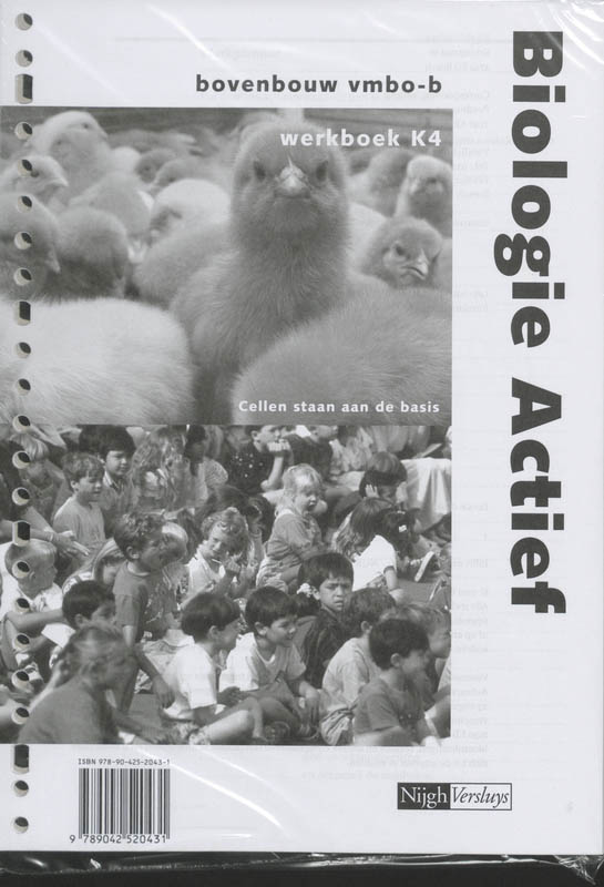 Omslag van Werkboek K4