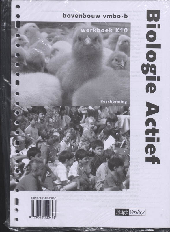 Omslag van Werkboek K10