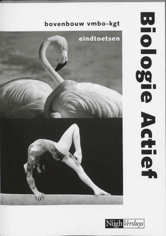 Omslag van Eindtoetsen