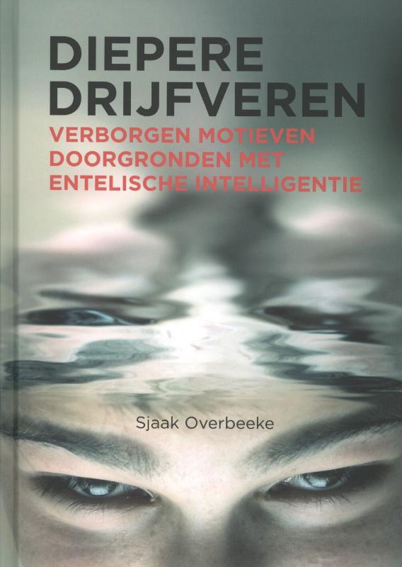 Omslag van Diepere drijfveren
