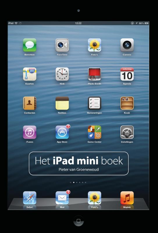 Omslag van Het iPad mini boek