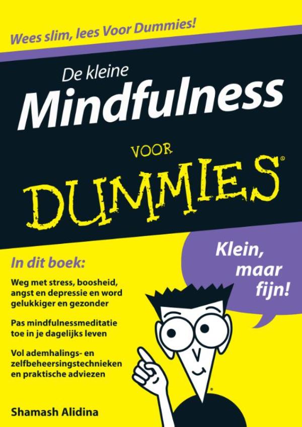 Omslag van De kleine mindfulness voor Dummies
