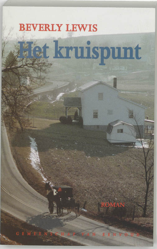 Omslag van Het kruispunt