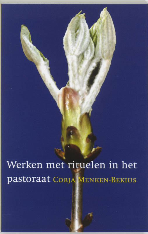 Omslag van Werken met rituelen in het pastoraat