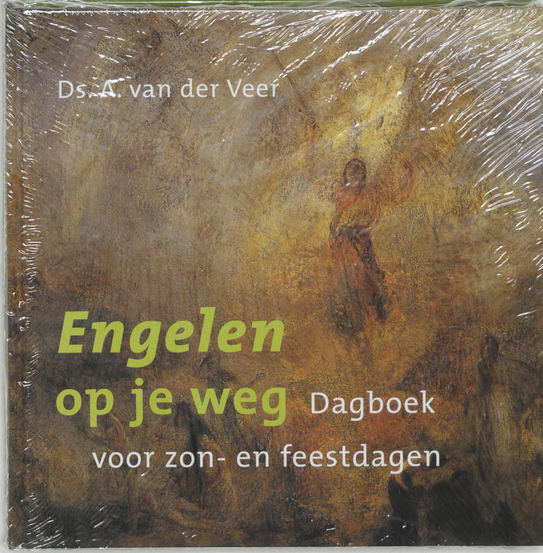 Omslag van Engelen op je weg