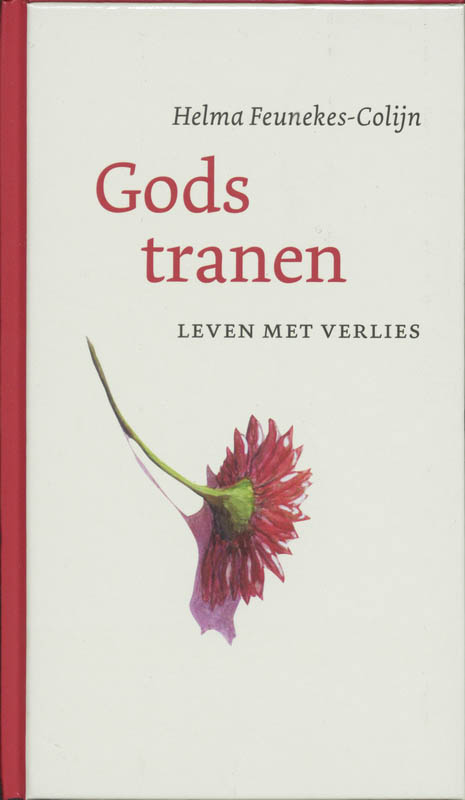 Omslag van Gods tranen