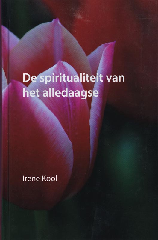 Omslag van De spiritualiteit van het alledaagse
