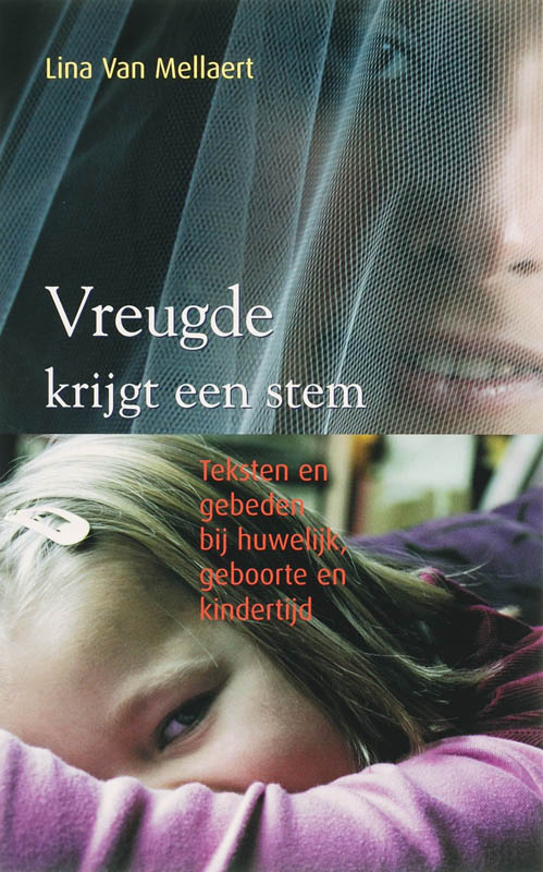 Omslag van Vreugde krijgt een stem