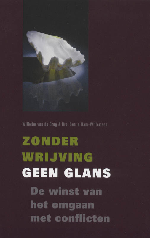 Omslag van Zonder wrijving geen glans