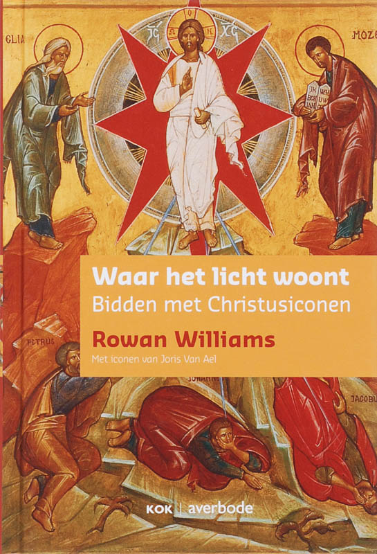 Omslag van Waar het licht woont