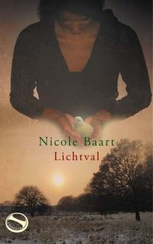 Omslag van Lichtval