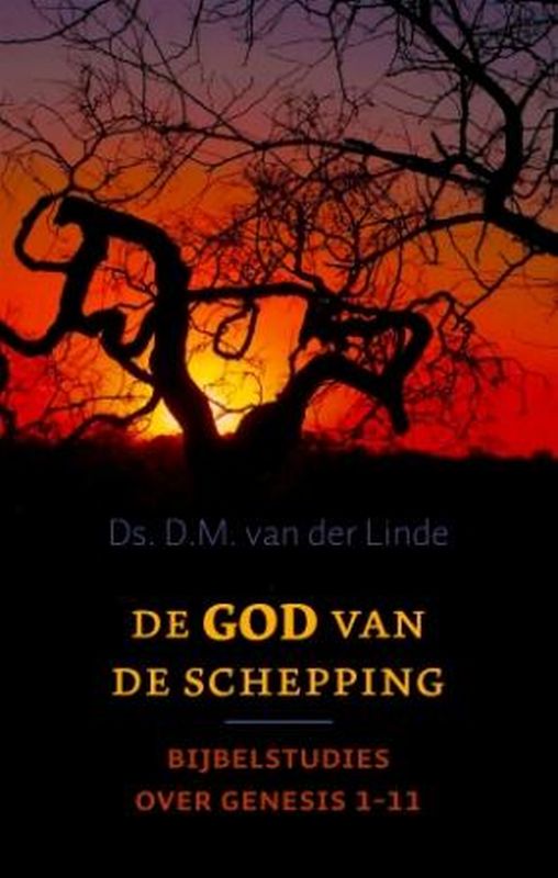 Omslag van De God van de schepping