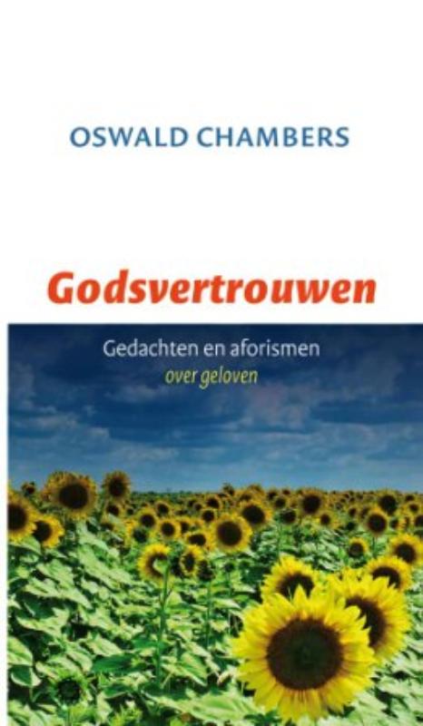 Omslag van Godsvertrouwen
