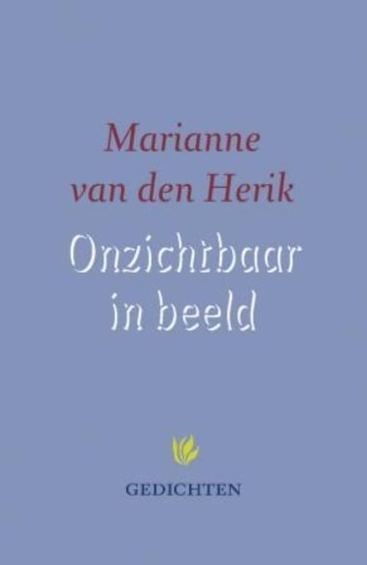 Omslag van Onzichtbaar in beeld