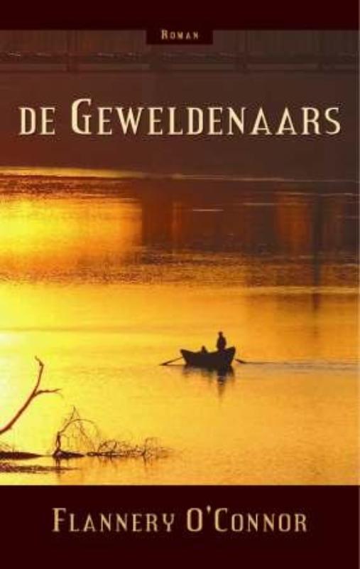Omslag van De geweldenaars