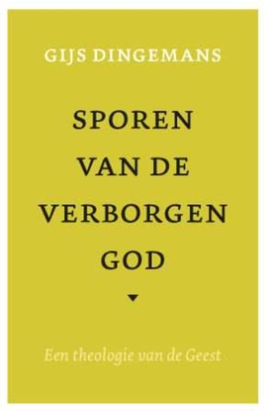 Omslag van Sporen van de verborgen god