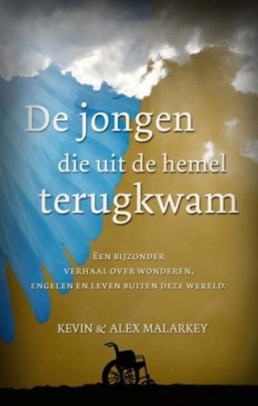 Omslag van De jongen die uit de hemel terugkwam