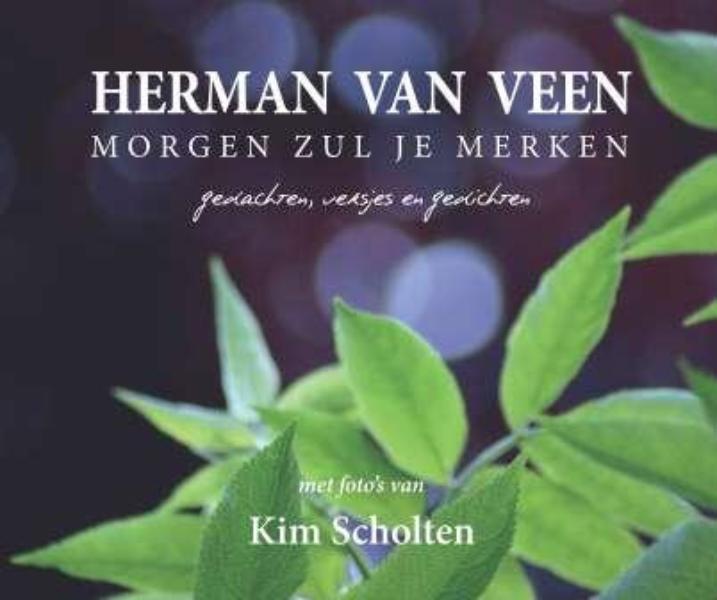 Omslag van Morgen zul je merken