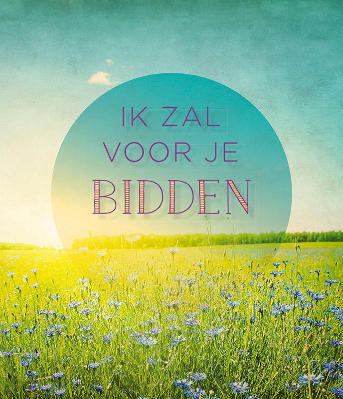 Omslag van Ik zal voor je bidden