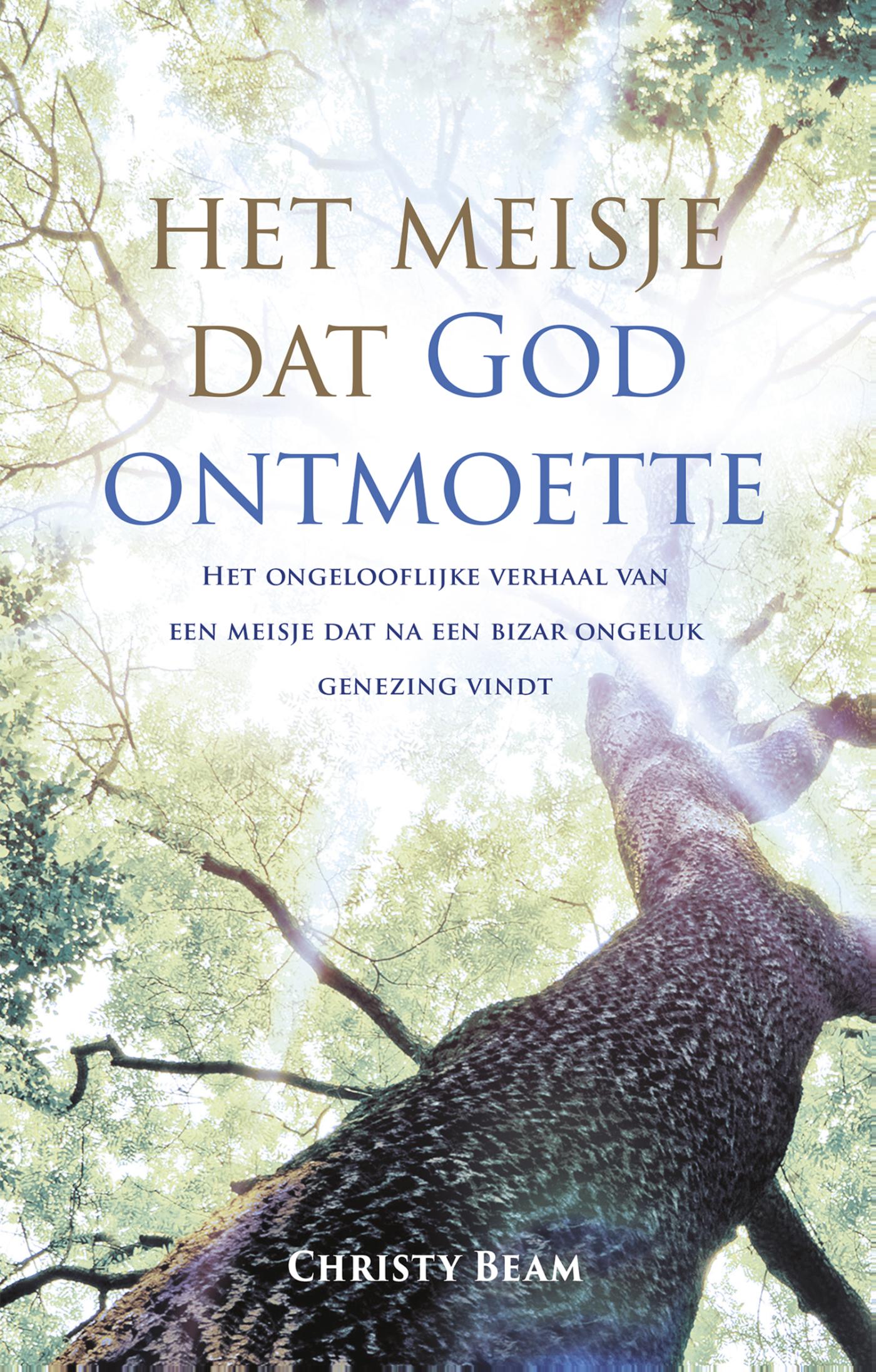 Omslag van Het meisje dat God ontmoette