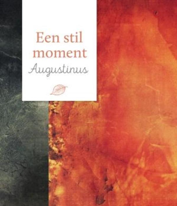 Omslag van Augustinus