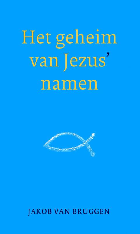Omslag van Het geheim van Jezus' namen