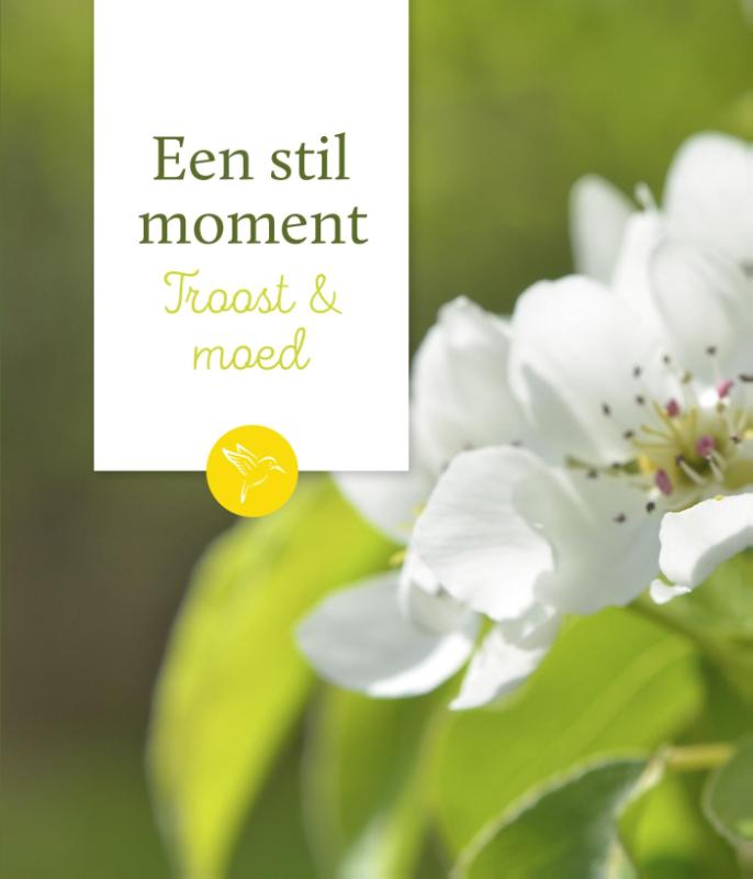 Omslag van Troost & moed