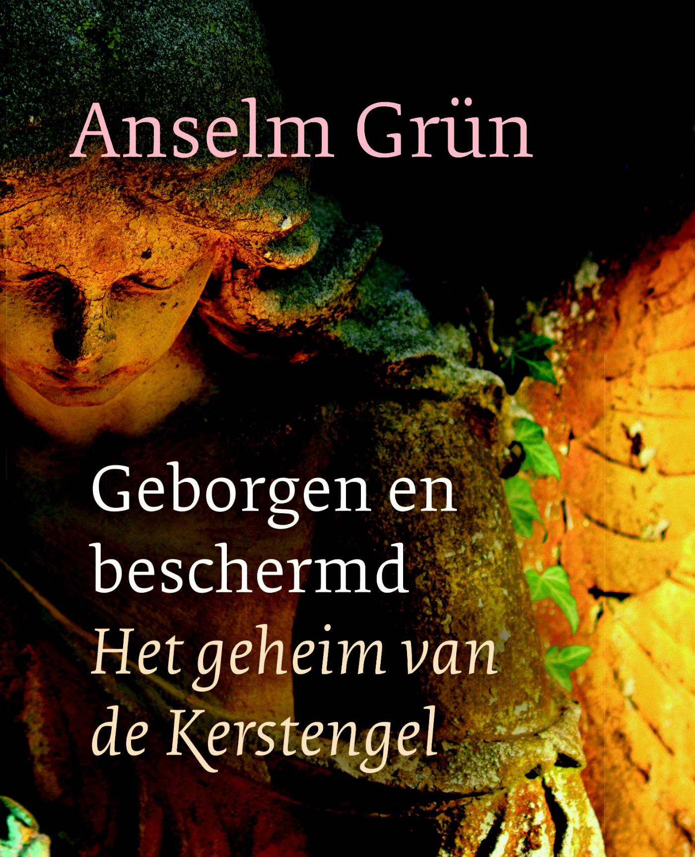 Omslag van Geborgen en beschermd