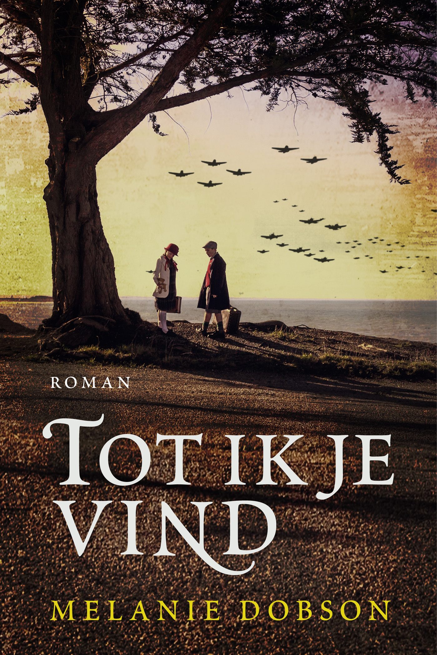 Omslag van Tot ik je vind