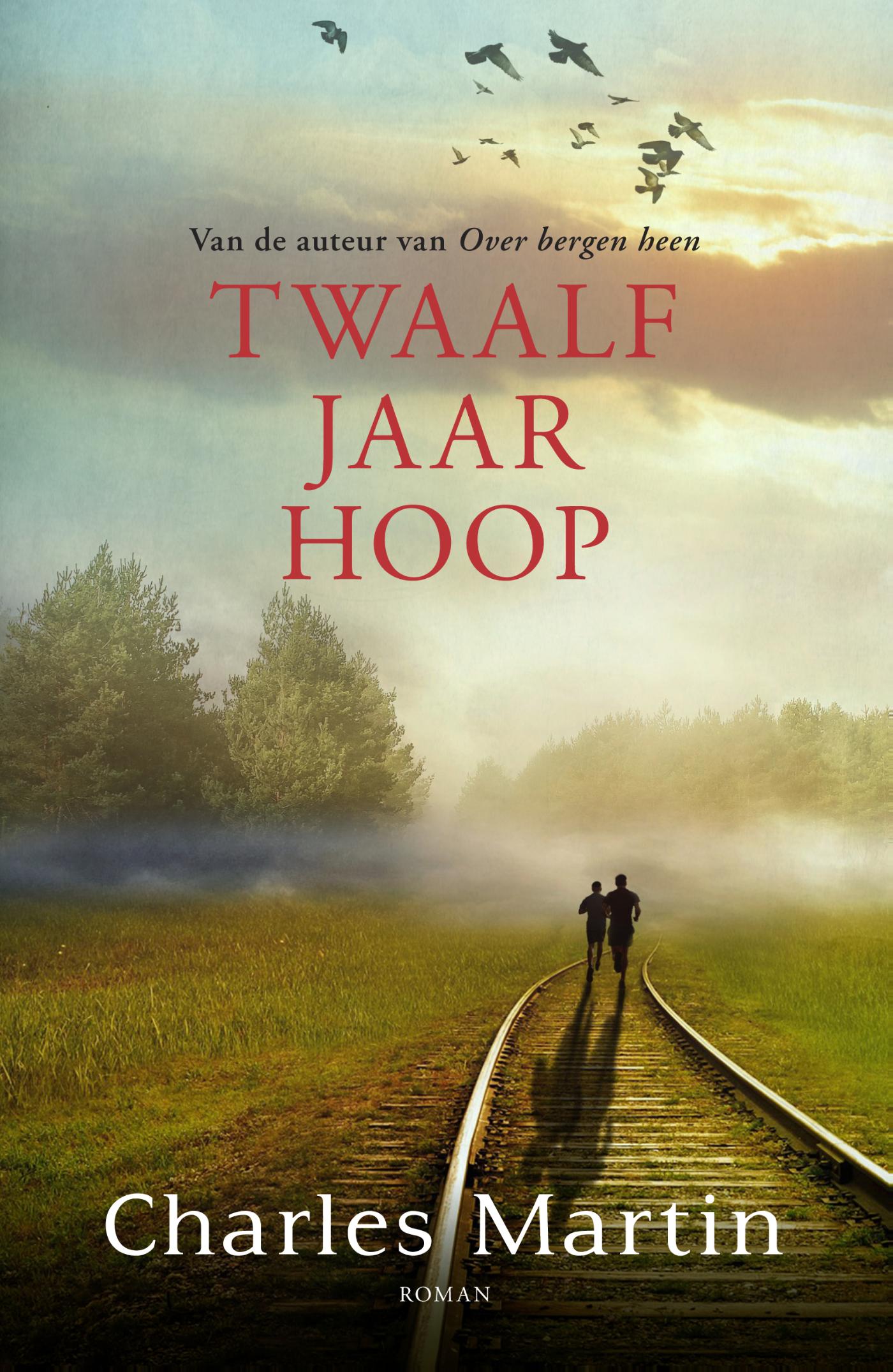 Omslag van Twaalf jaar hoop