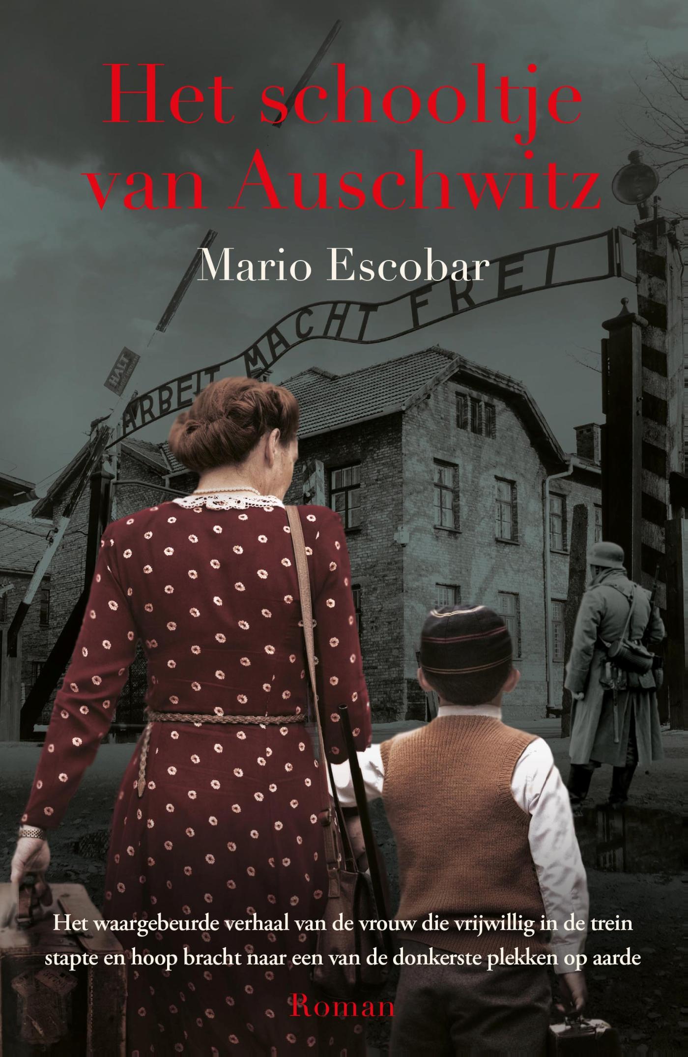 Omslag van Het schooltje van Auschwitz