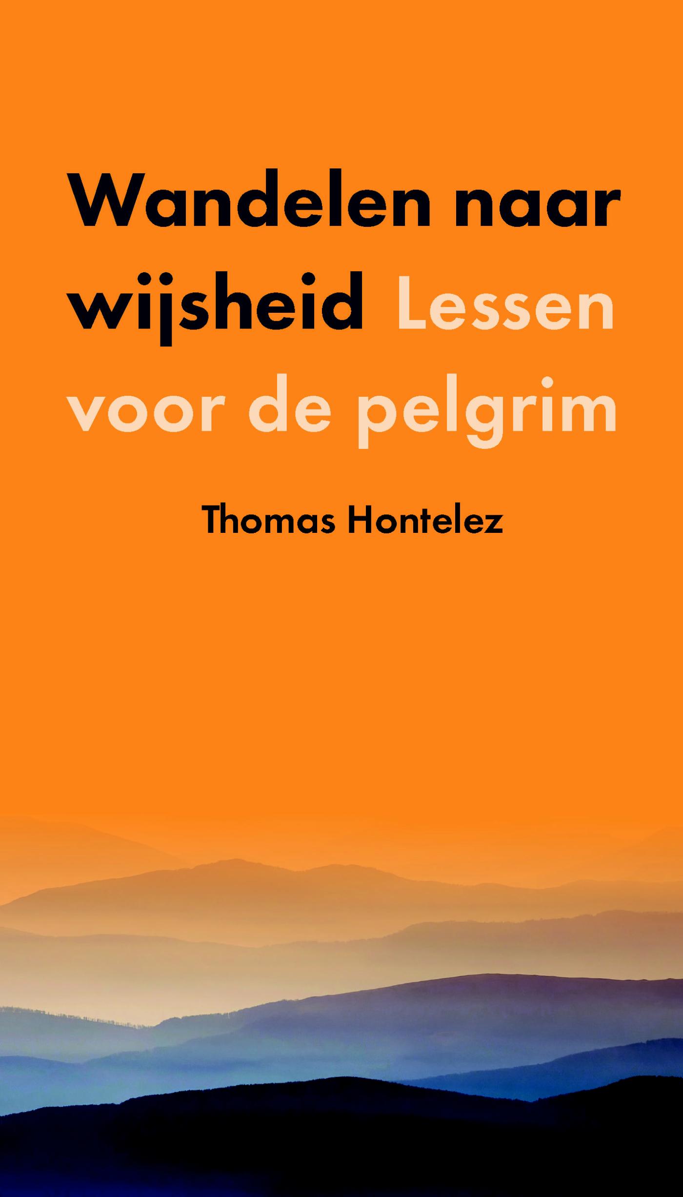 Omslag van Wandelen naar wijsheid