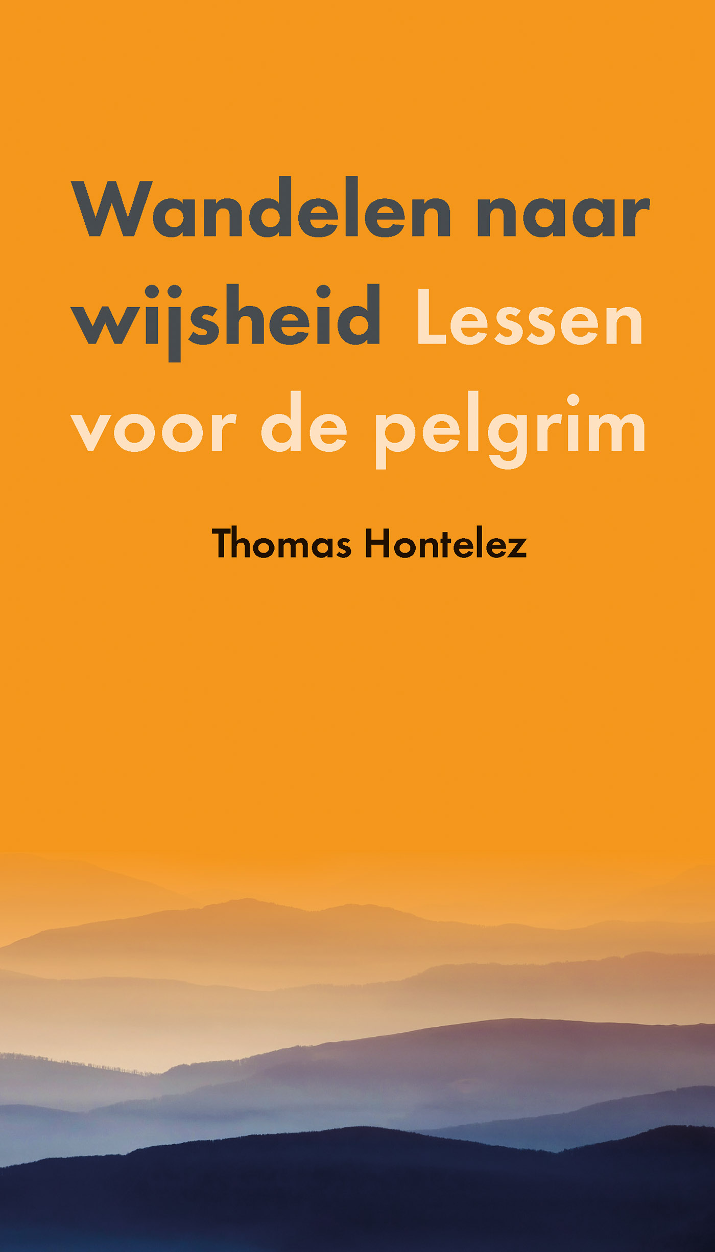 Omslag van Wandelen naar wijsheid