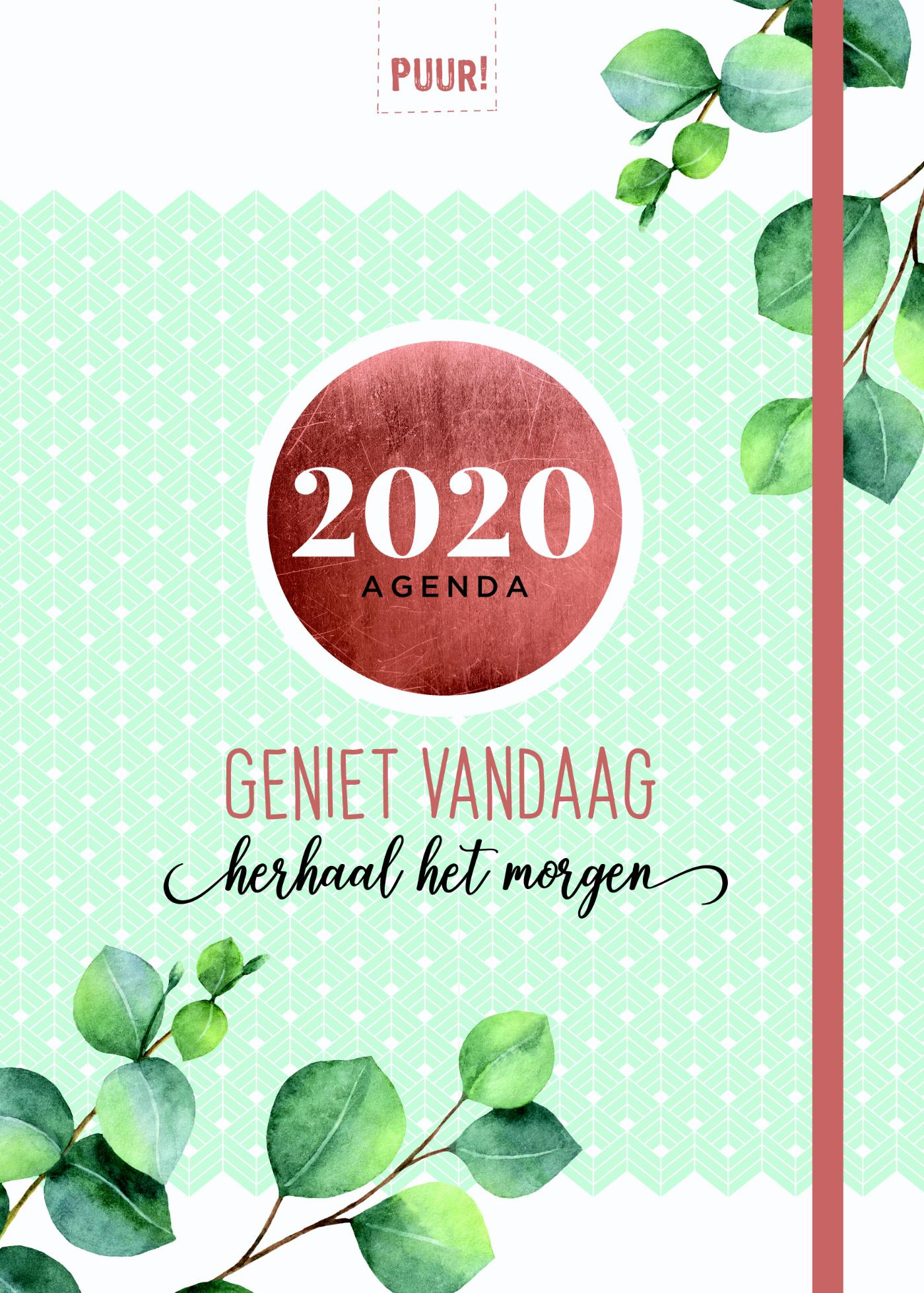 Omslag van 2020