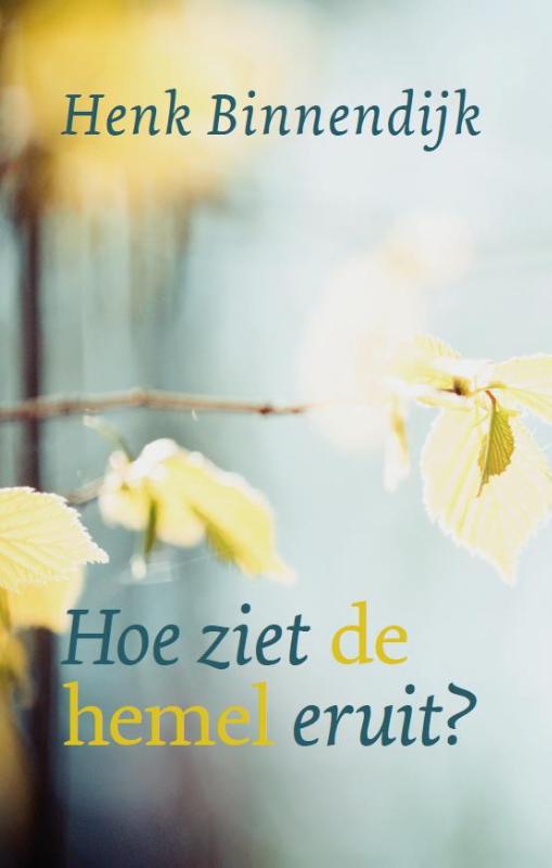 Omslag van Hoe ziet de hemel eruit?